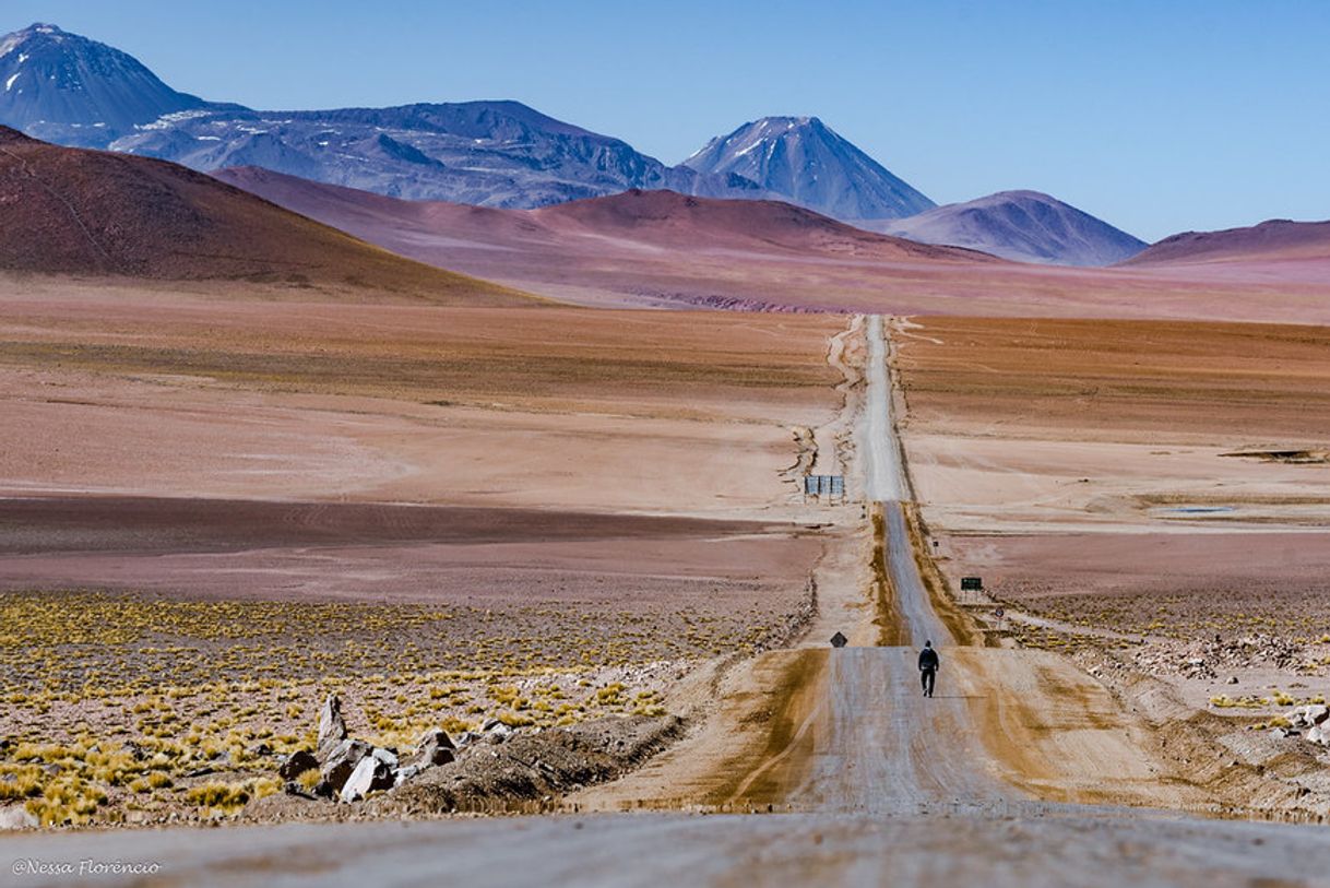 Place Desierto de Atacama