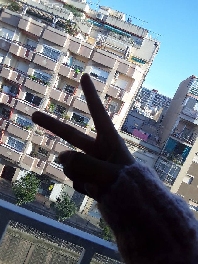 Social Google Fotos - Todas tus fotos organizadas y fáciles de encontrar