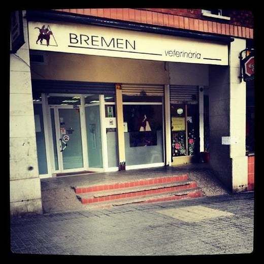 Bremen Veterinaria