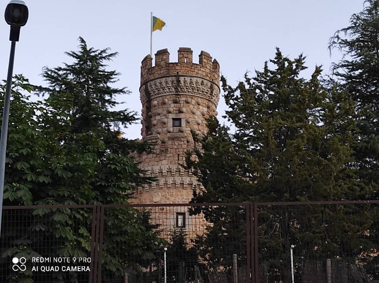 Place Manzanares el Real