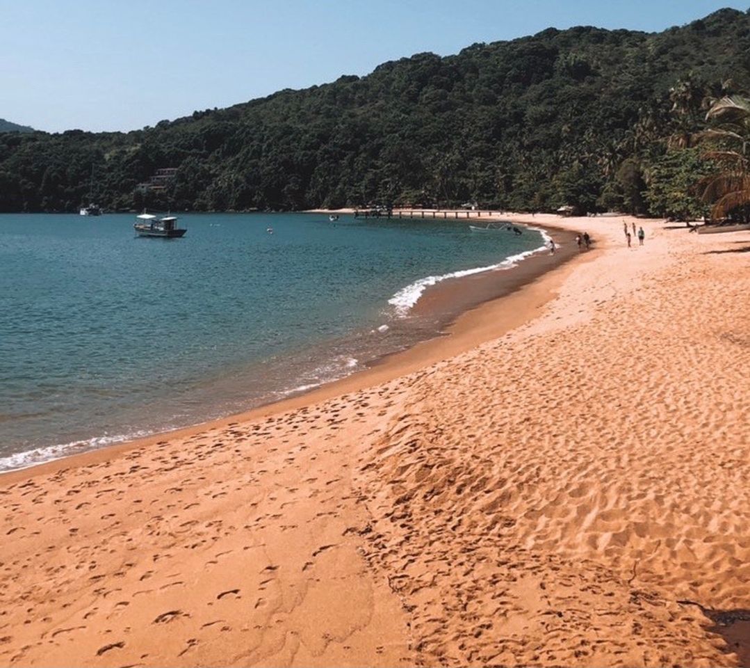 Place Praia de Palmas