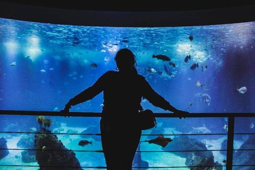 Oceanário de Lisboa