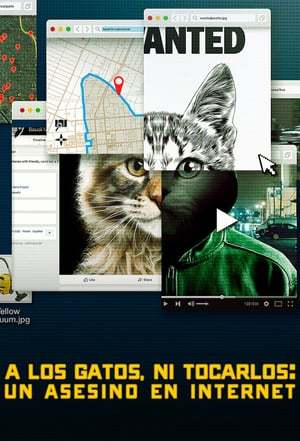 Serie A los gatos ni tocarlos: Un asesino en Internet