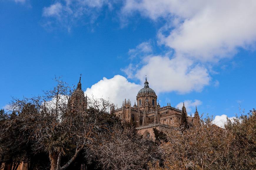 Lugar Huerto de Calixto y Melibea