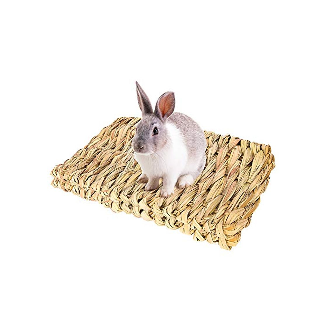 Producto Friusate - Juego de 2 camas de juguete para masticar animales