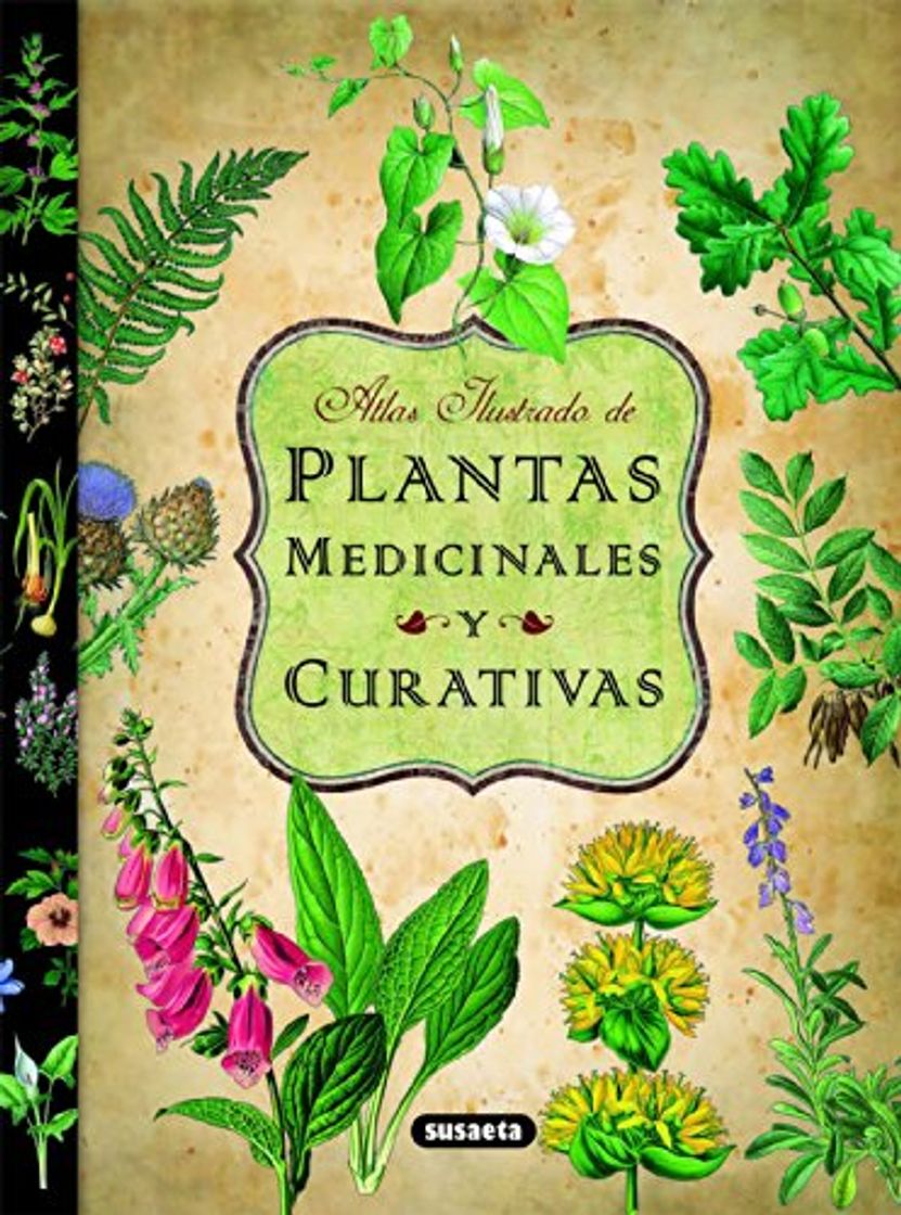 Book Plantas Medicinales Y Curativas