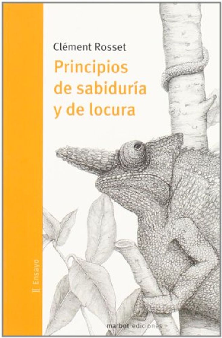 Book Principios De Sabiduria Y De Locu