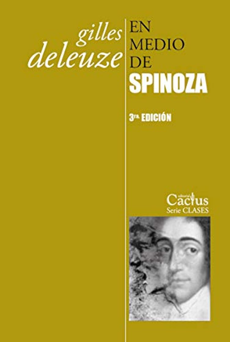 Book En medio de Spinoza