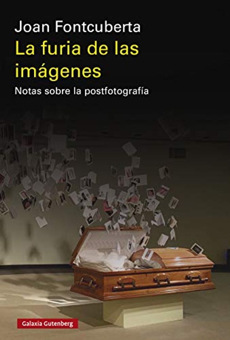 Book La furia de las imágenes: Notas sobre la postfotografía
