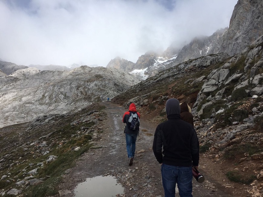 Place Picos de Europa