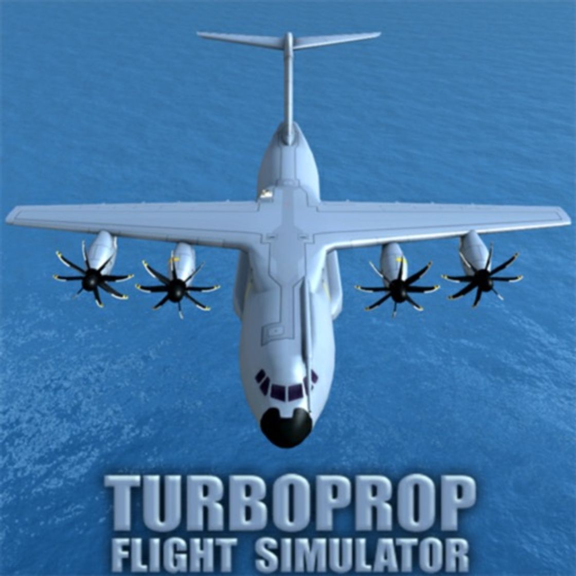 Aplicaciones Turboprop Flight Simulator