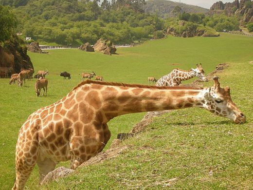 Parque de la Naturaleza de Cabárceno