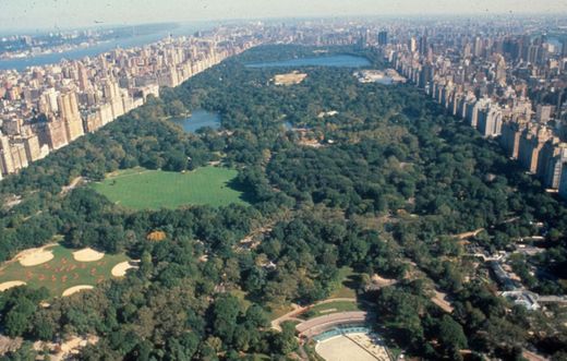 Central Park Conservancy: Home