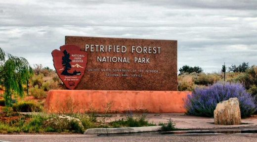 Parque nacional del Bosque Petrificado