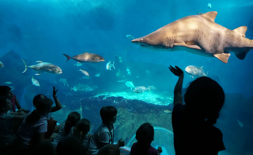 Lugar Acuario Sevilla