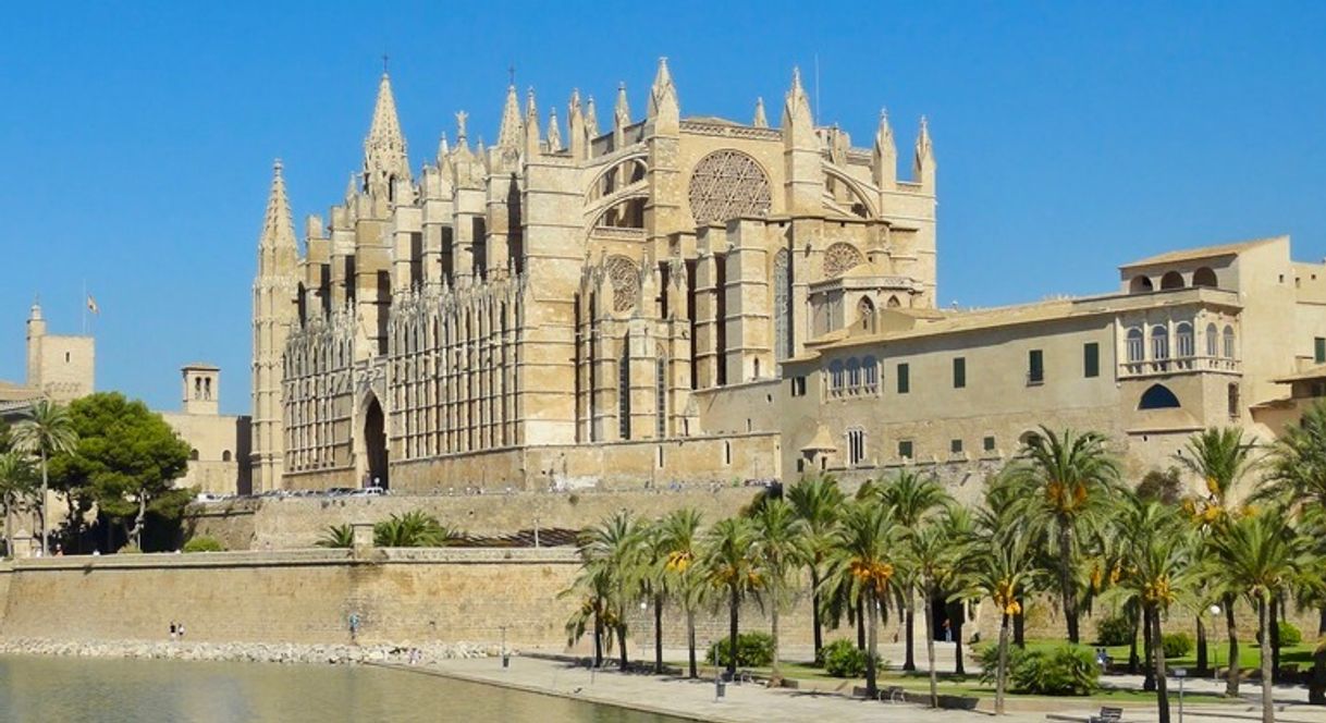 Lugar Catedral-Basílica de Santa María de Mallorca