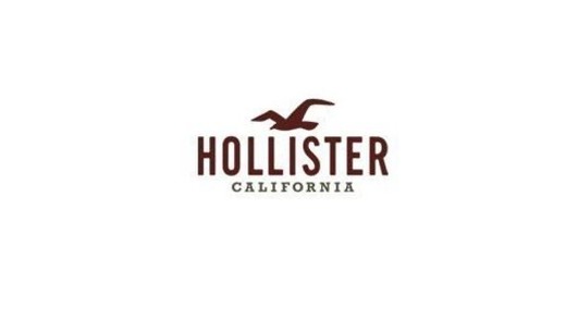 Hollister Co. Carpe Now | Clothing for Guys and Girls