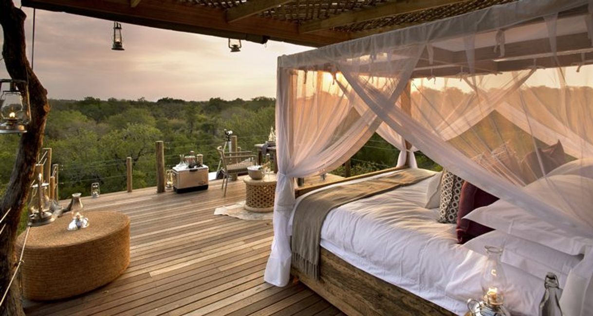 Place Kingston Treehouse, Lion Sands Game Reserve