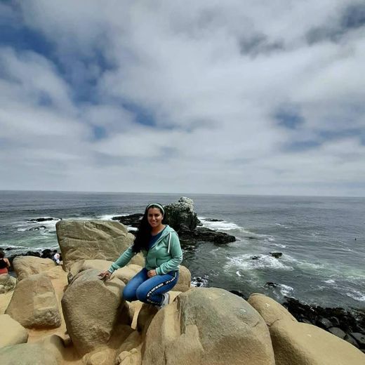 Punta de Lobos