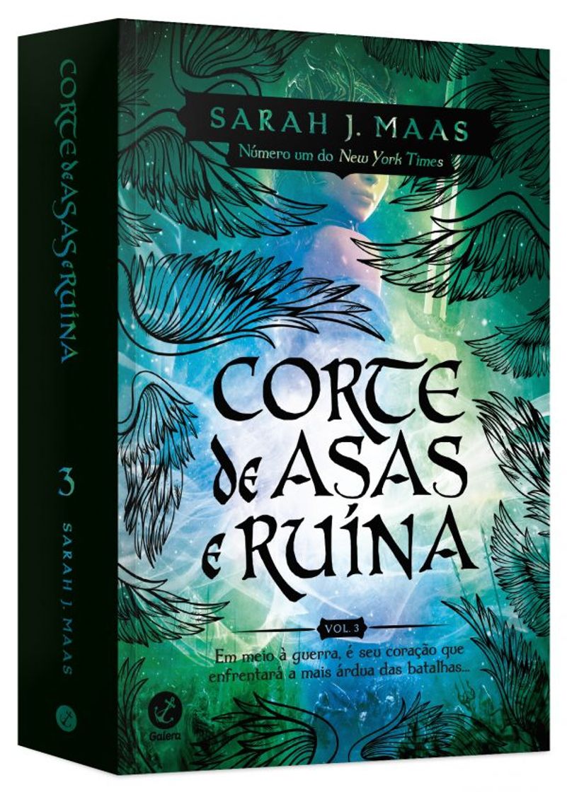 Book Corte de asas e ruínas