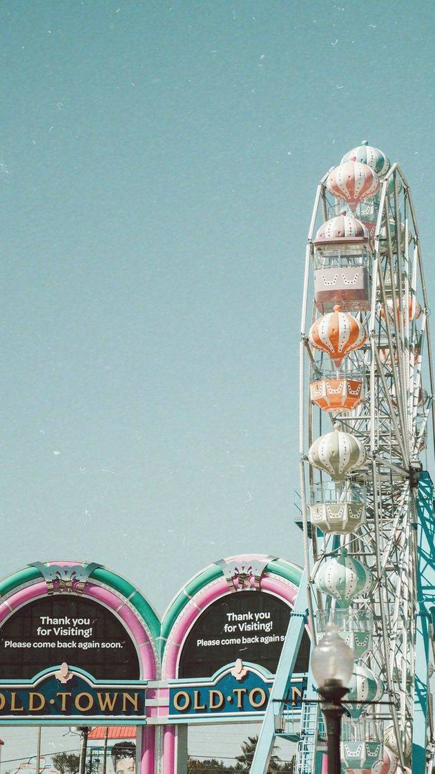 Social 🖼RollerCoaster