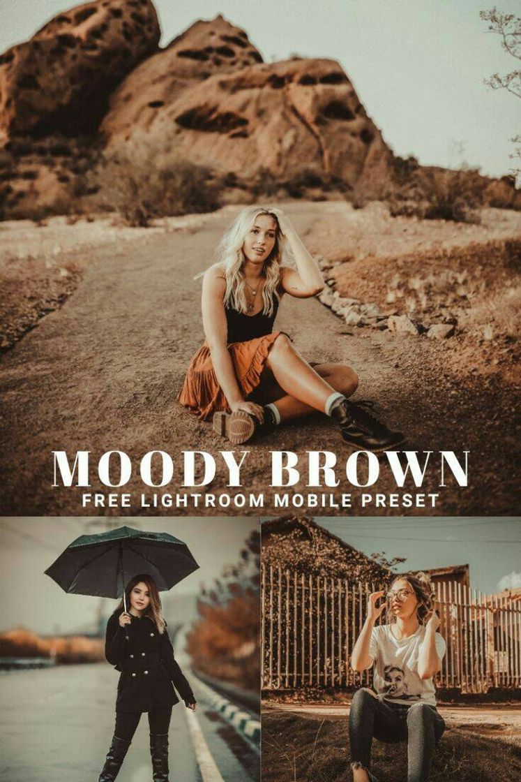 Fashion Preset 4 - Moody Brown