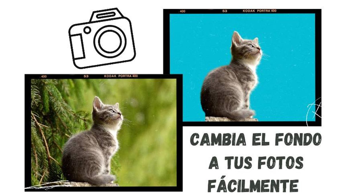 Moda Cambia el fondo de tus f lo fotos fácilmente - YouTube