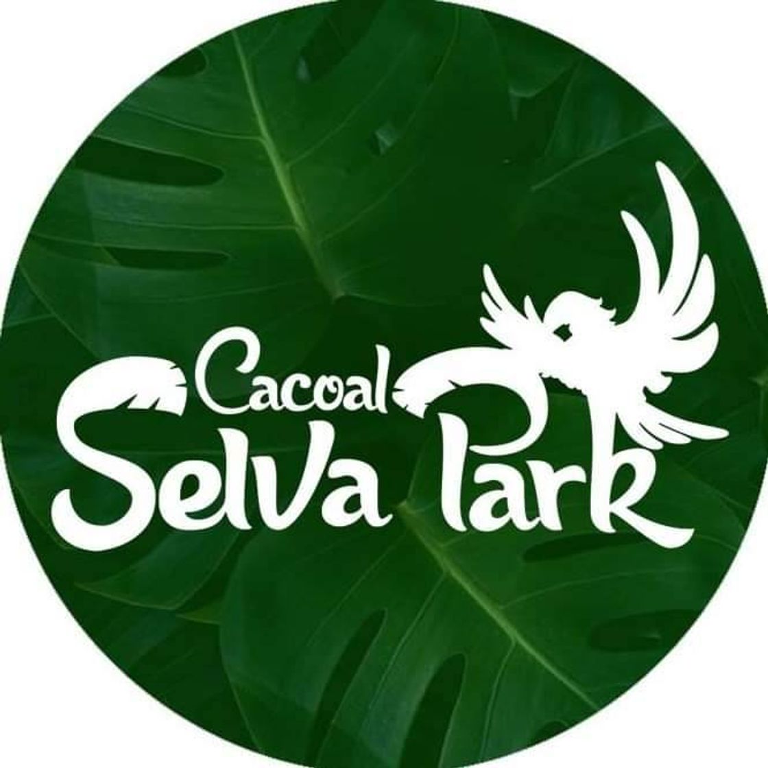 Place Cacoal Selva Park