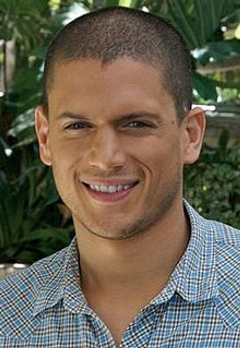 Moda Wentworth Miller