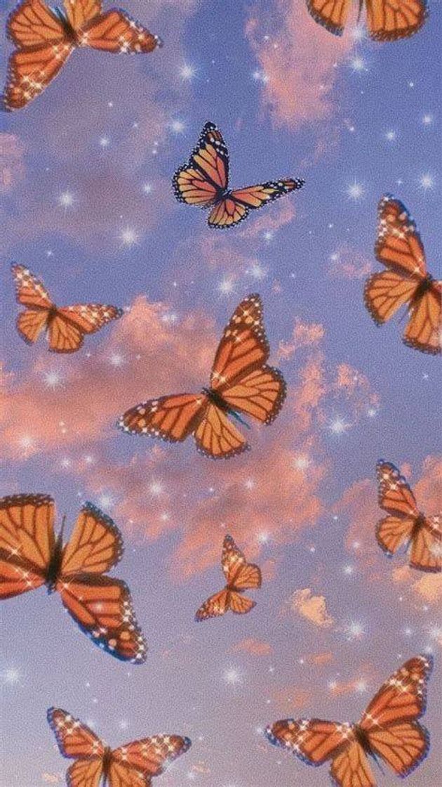 Moda Wallpaper butterfly