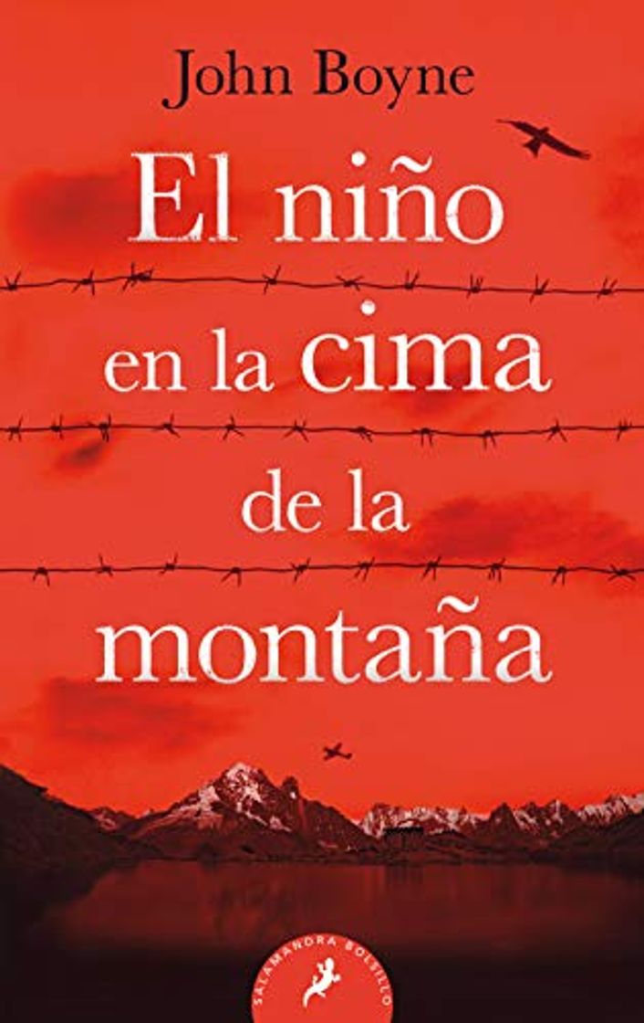 Libro EL NIÑO EN LA CIMA DE LA MONTAÑA -LB-