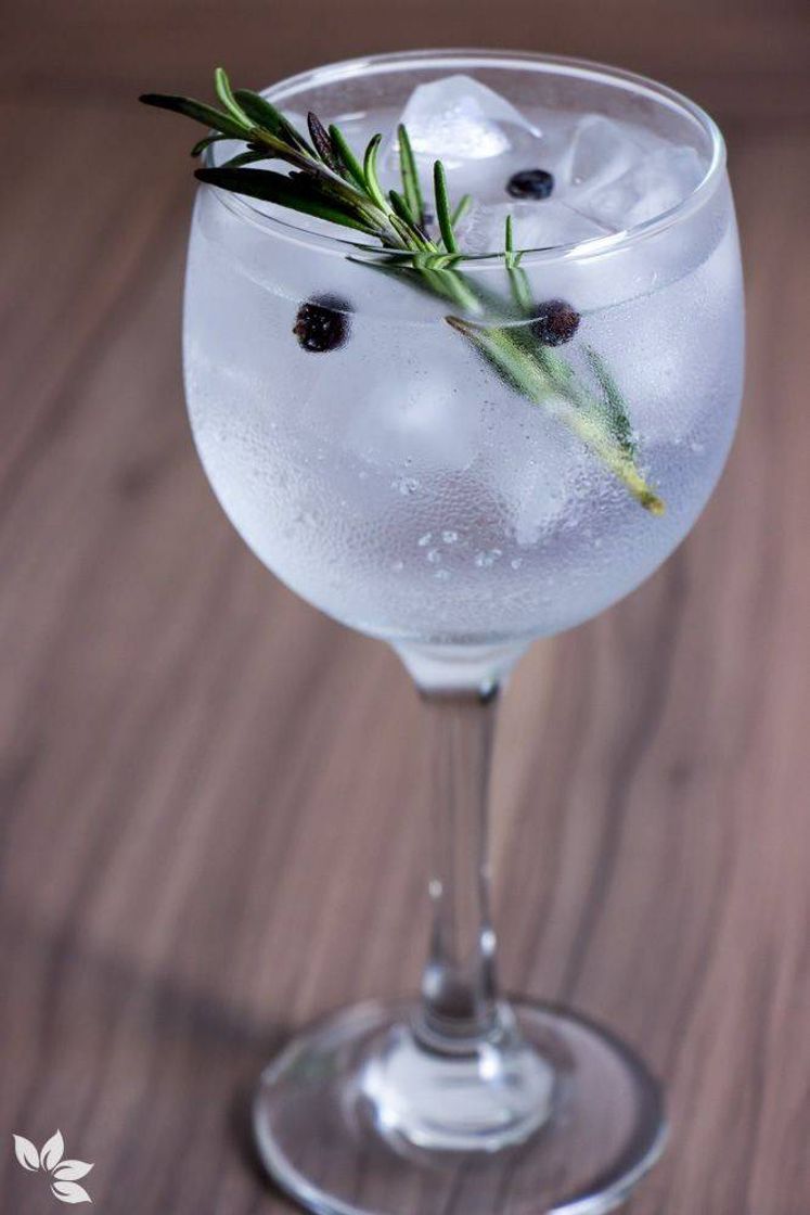 Moda Receita de Gin tônica com alecrim e zimbro. 🍸