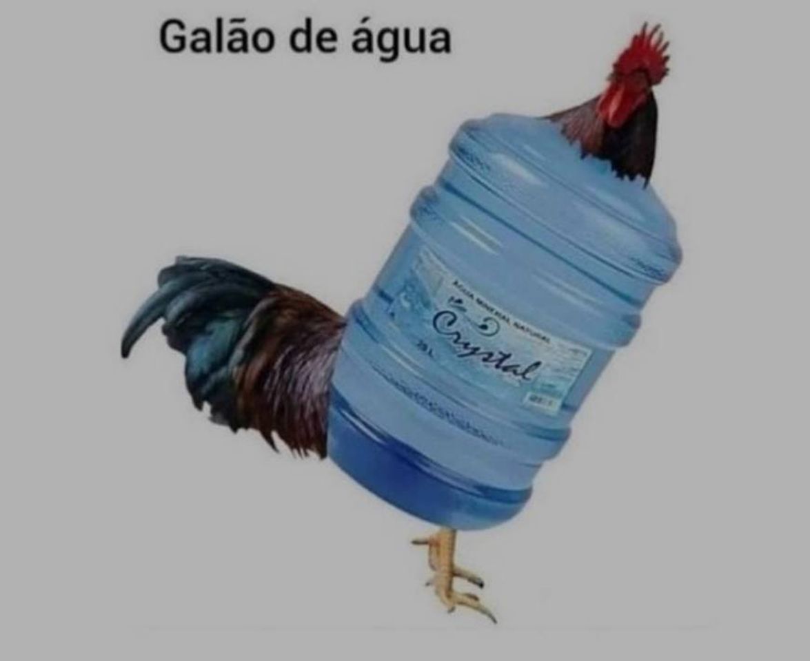 Moda Aleatório