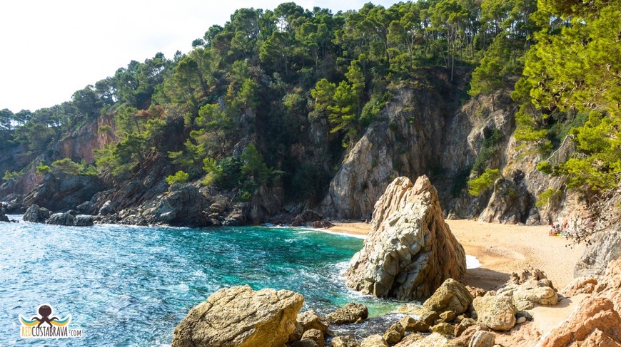 Place Platja Cala El Golfet