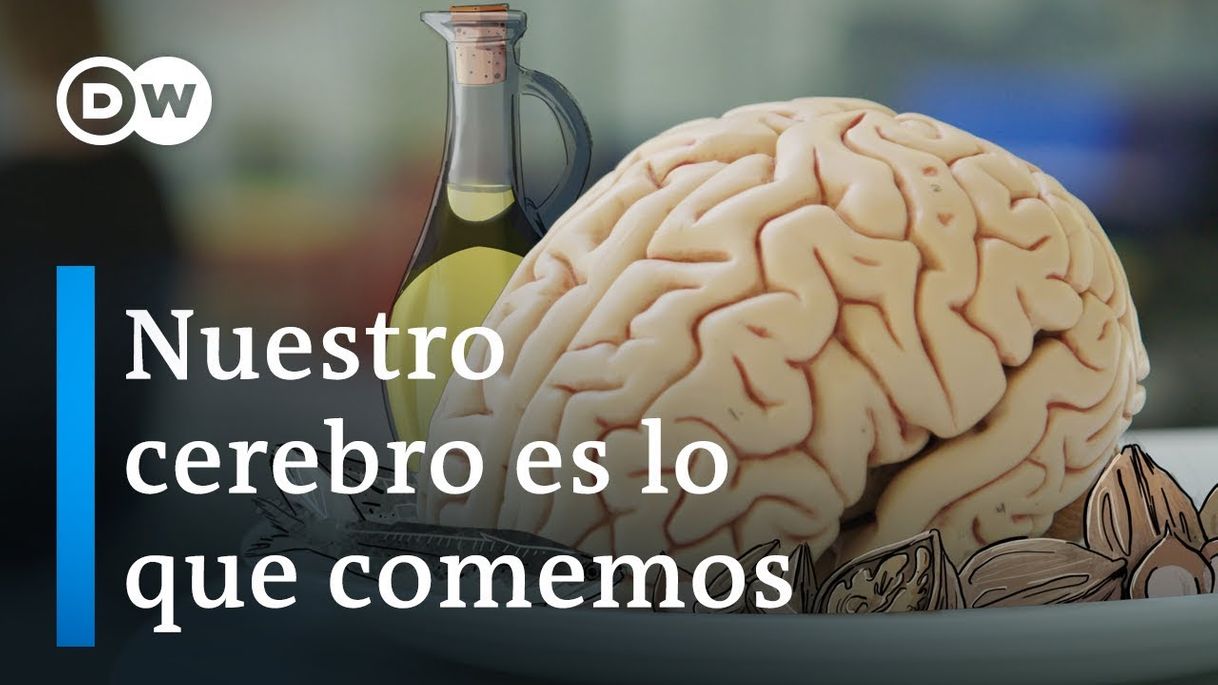 Película Nuestro cerebro es lo que comemos | DW Documental - YouTube