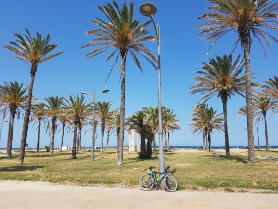 Place Playa de la Patacona