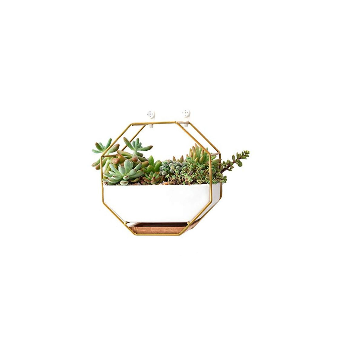 Social Maceta geométrica para colgar en la pared