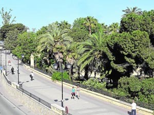 Place Paseo del Malecón