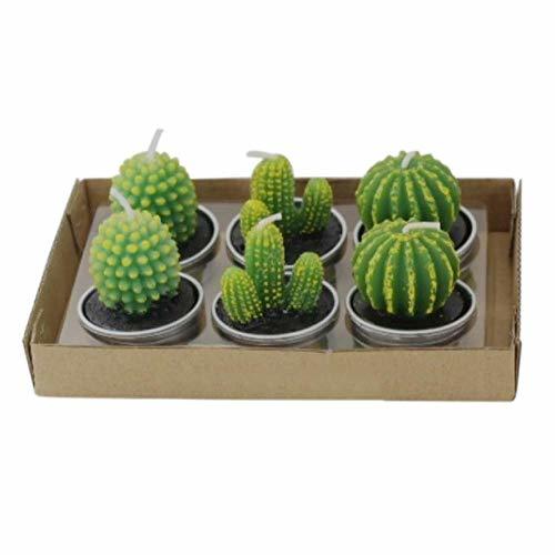 XCHJY 6 Piezas de Plantas suculentas Artificiales Vela de Cactus para la