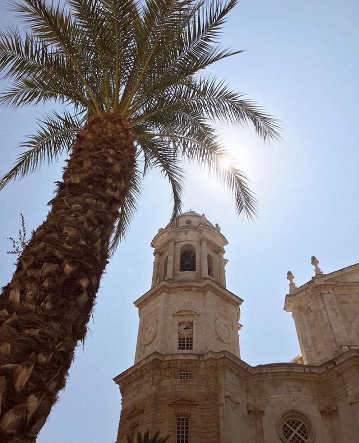 Place Catedral de Cádiz