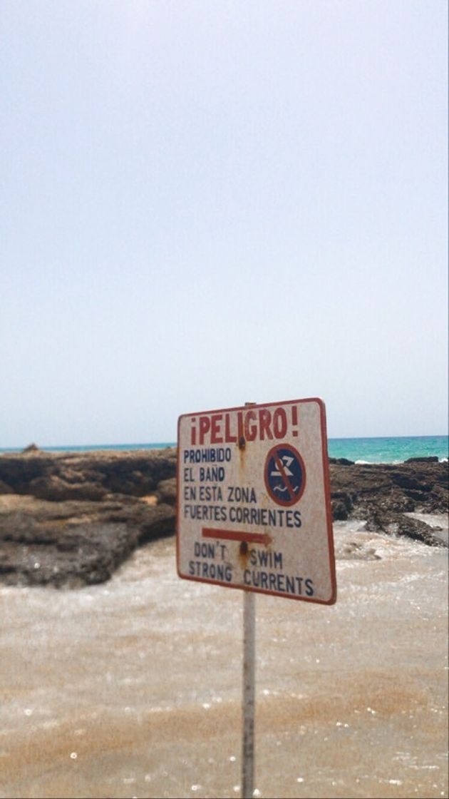 Place El Palmar