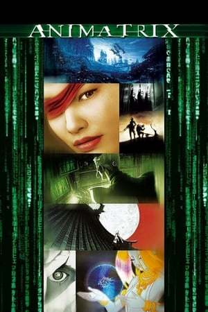 Serie The Animatrix