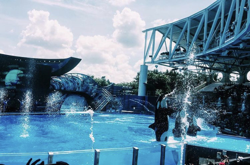 Lugar Sea World Orlando