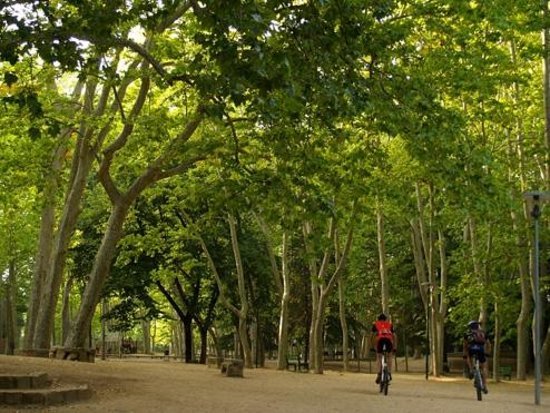 Places Parc de Sant Salvador