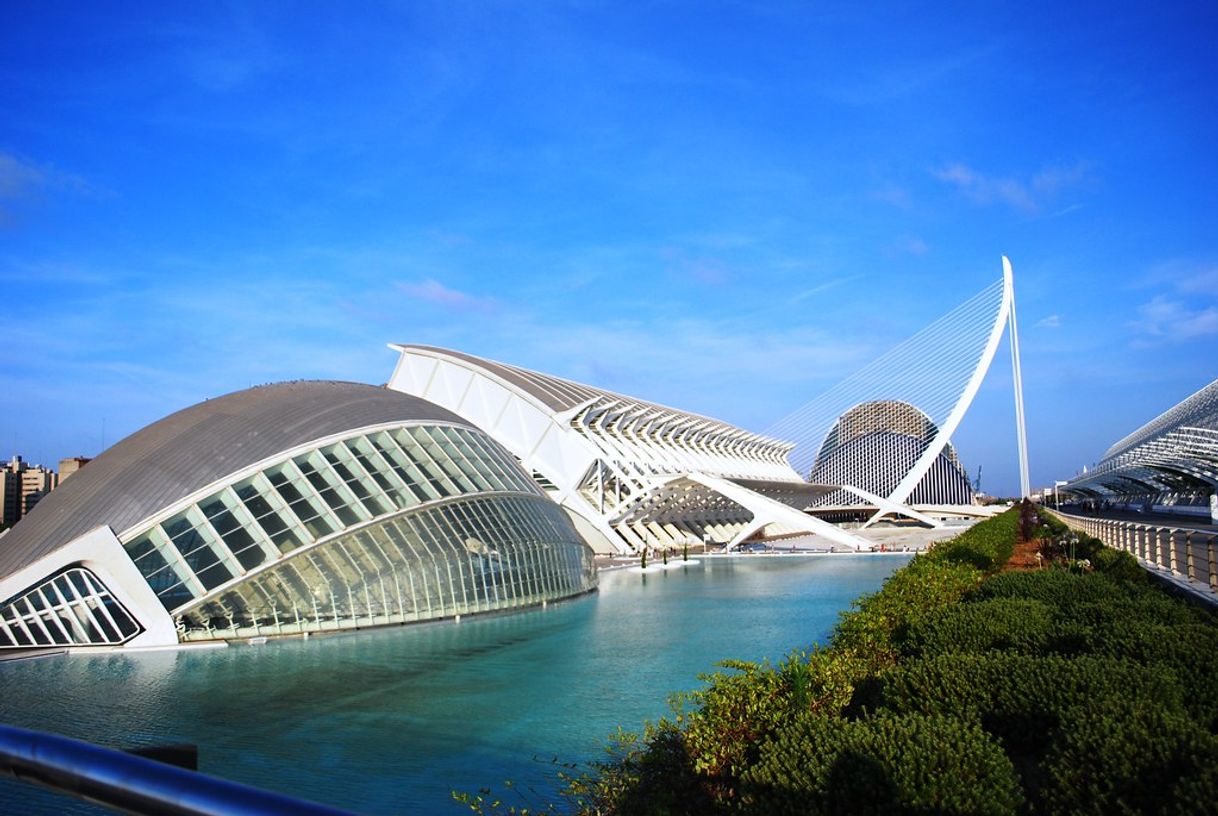 Place Ciudad de las Artes y las Ciencias