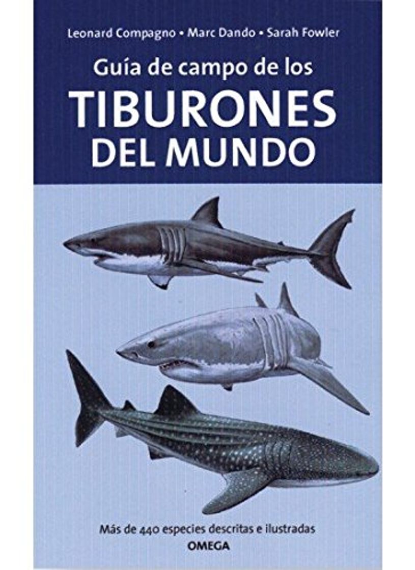 Book GUIA DE CAMPO DE LOS TIBURONES DEL MUNDO