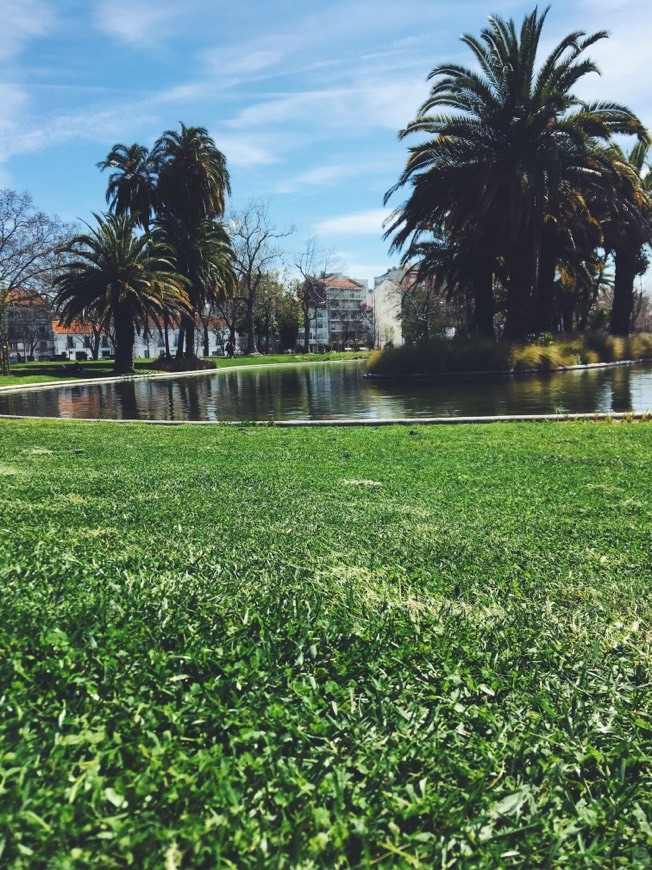 Lugar Jardim do Campo Grande