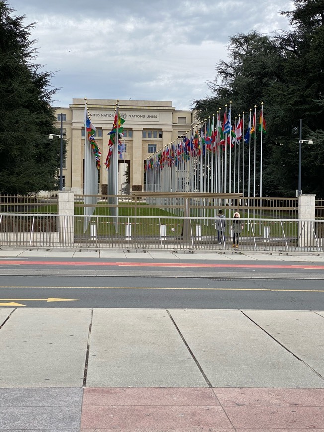 Lugar Oficina de la Organización de las Naciones Unidas en Ginebra