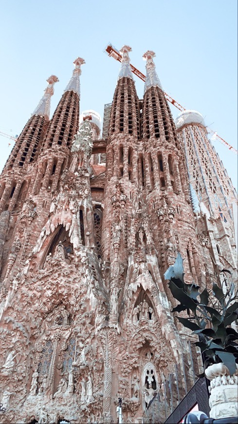 Lugar Basílica Sagrada Familia