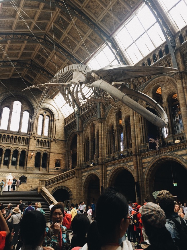 Lugar Natural History Museum